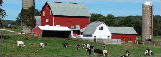 Farm and Ranch Insurance